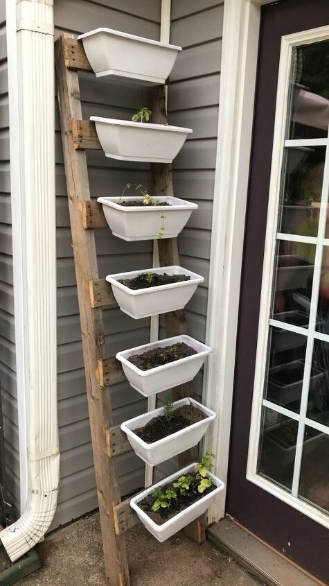 ladder herb garden, They would also be super cute with lables