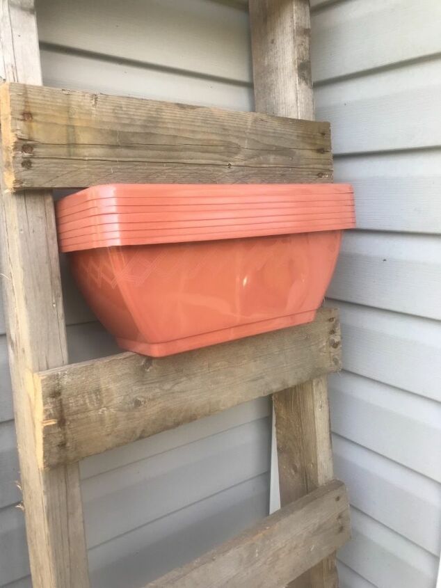 ladder herb garden, Dollar tree for the win comp item link below