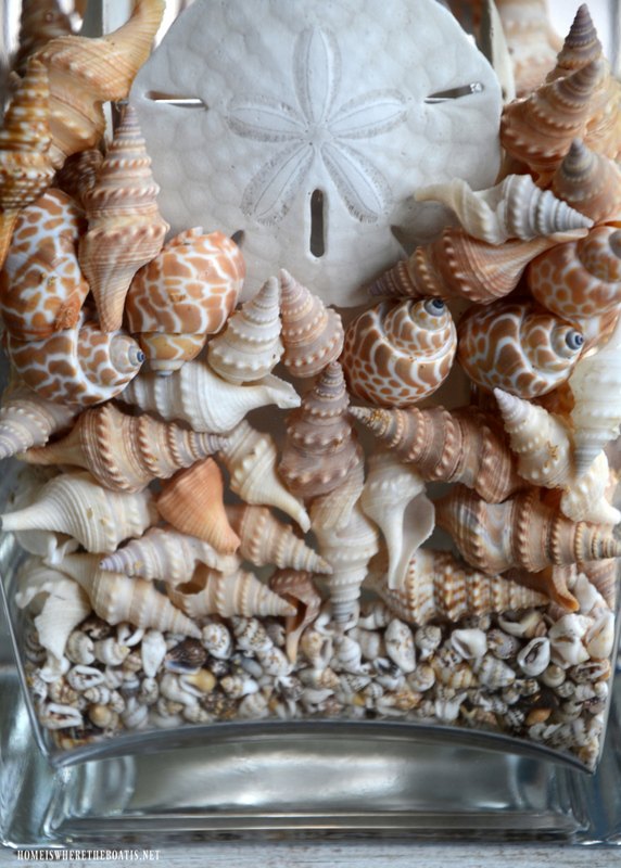 arreglo floral de verano con conchas marinas