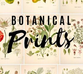 botanical print gallery wall, Botanical Print Gallery Wall DIY