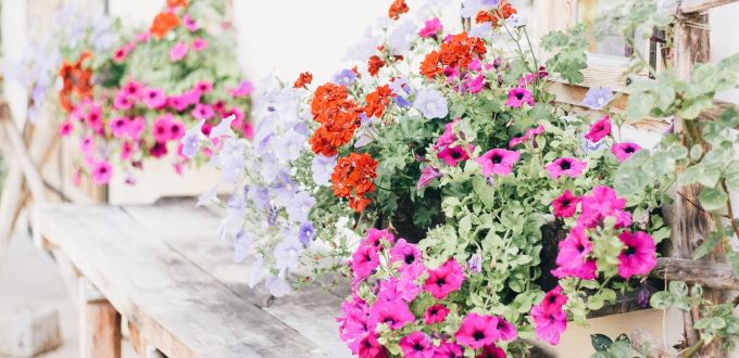 build your own wooden window box planters