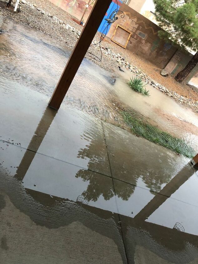 emergncia de chuva de mono, quintal inundado
