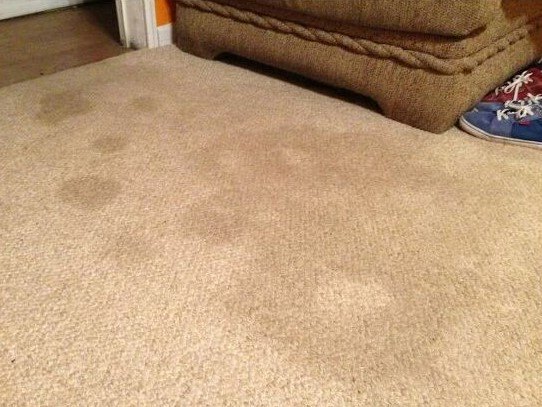 Cómo quitar manchas difíciles de una alfombra