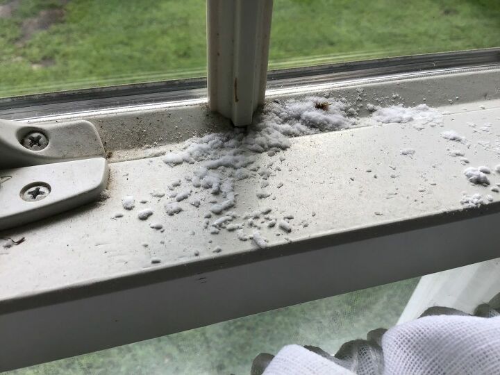 q small piles of white powdery substance on windowsill