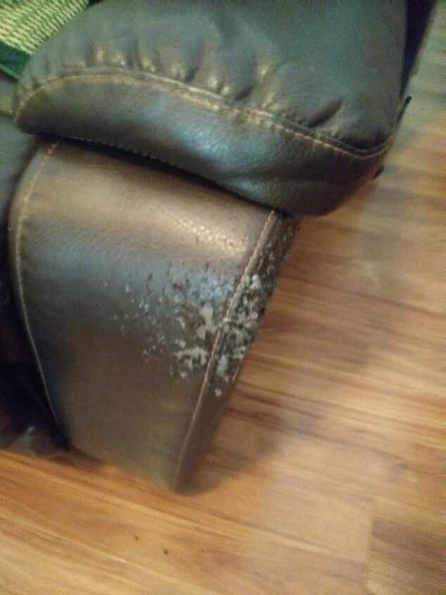 q leather repair