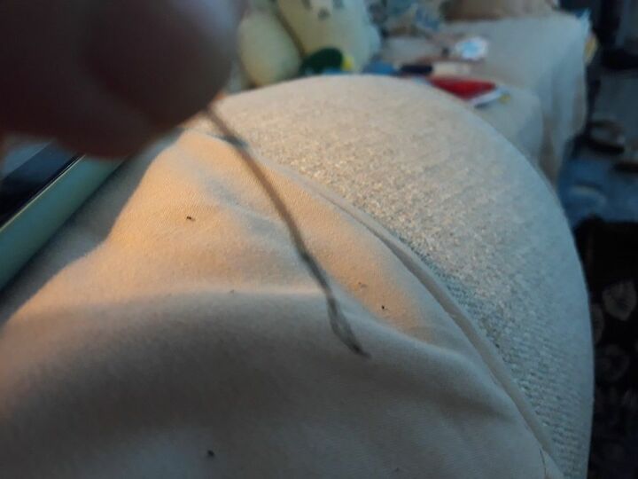 sew a simple seam repair