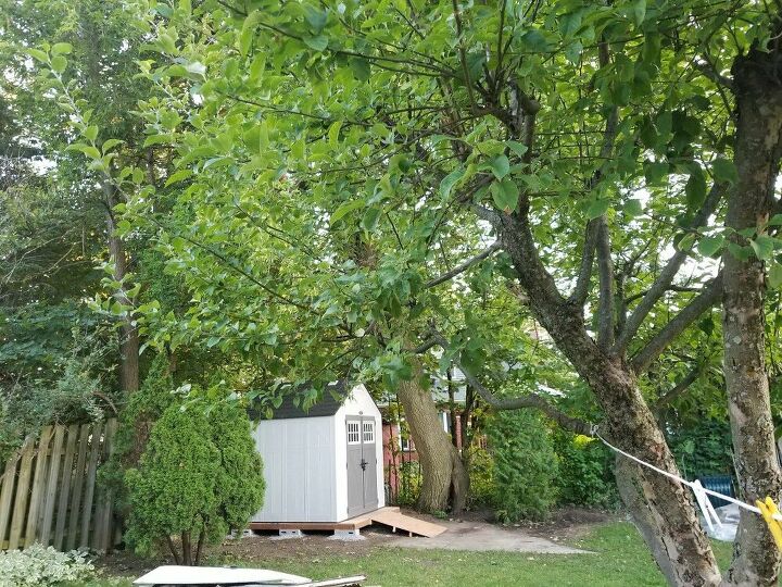 q what should i cover the bottom of my shed base with