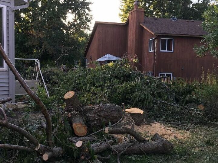 q how can i create privacy in my backyard
