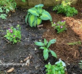 how to transform a small garden area