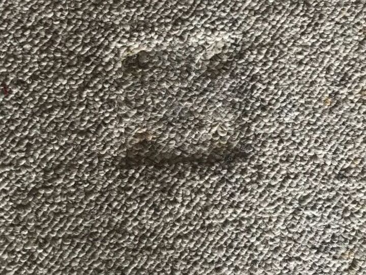 q carpet indentation