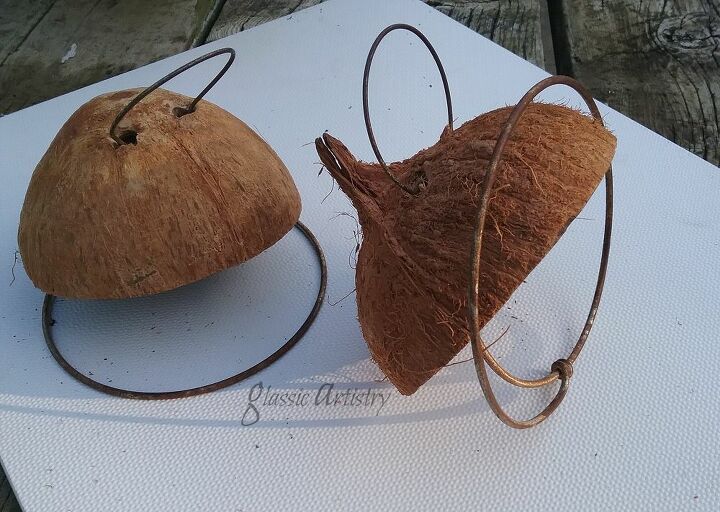 tutorial de bricolaje de comederos de coco extravagantes