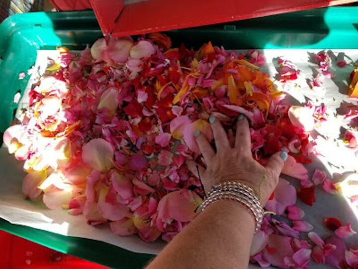 drying flower petals naturally