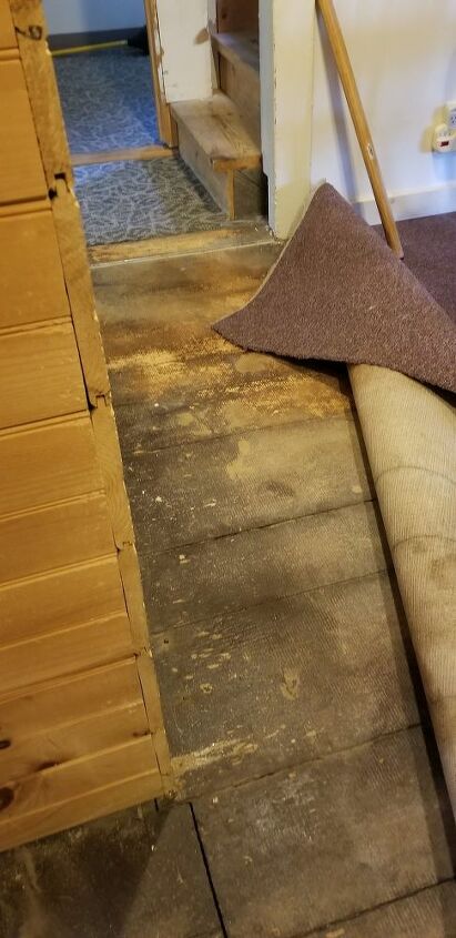 q what s the best way to restore painted wide pine floors on a budget