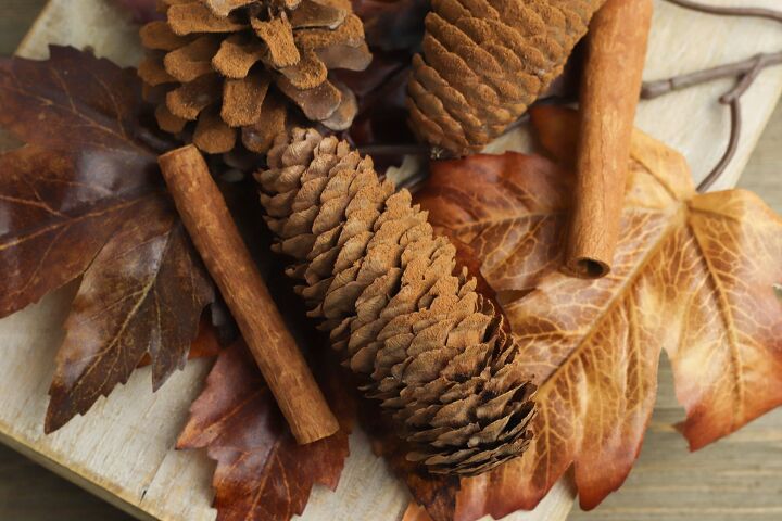 s 13 gorgeous table decor ideas for you o copy this fall, Naturally scented cinnamon pine cones