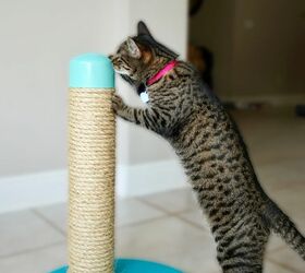 how to make a cat scratching post with pvc pipe