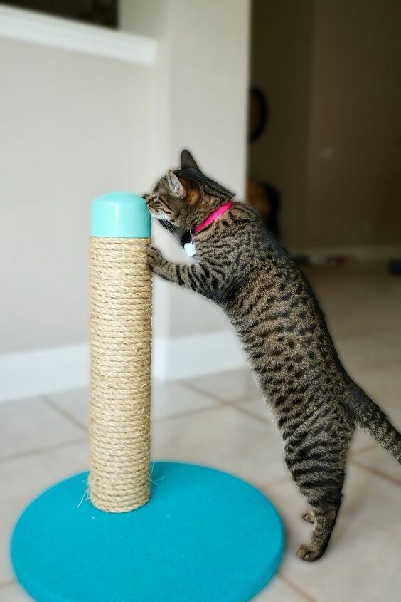 how to make a cat scratching post with pvc pipe
