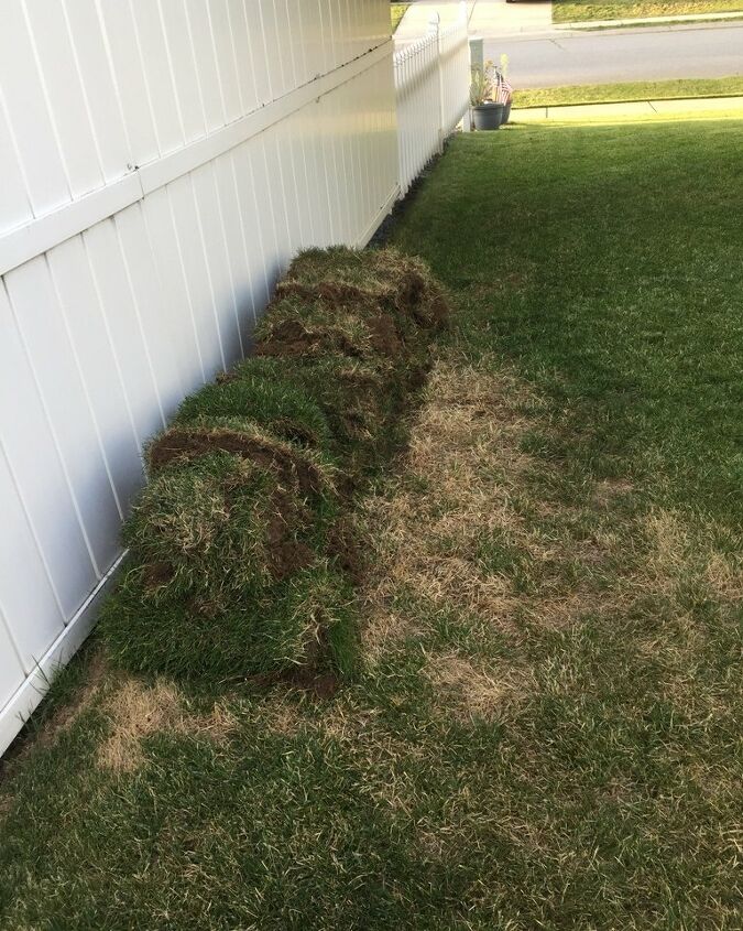 replaced some lawn with a rock garden, Sod rolls