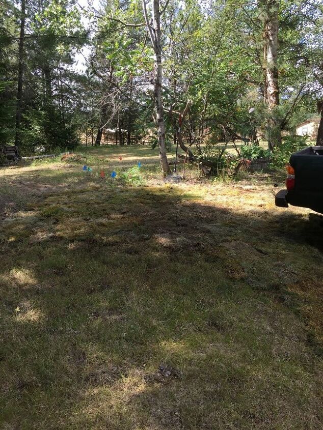 replaced some lawn with a rock garden, Sod quilt