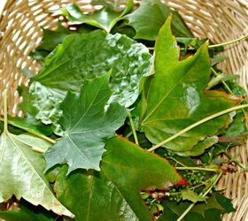 Cómo hacer bonitas hojas de arcilla secadas al aire