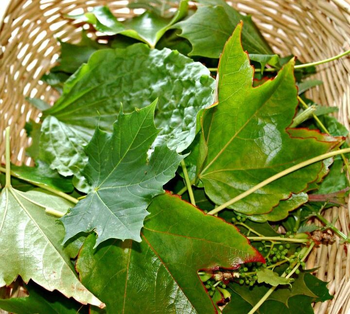 como hacer bonitas hojas de arcilla secadas al aire