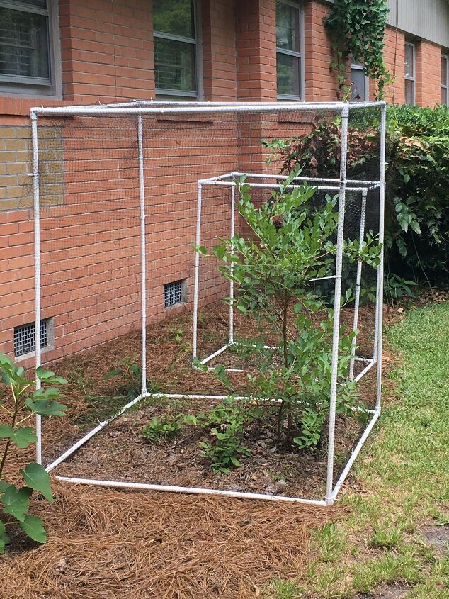 17 incredible ways people are using pvc pipes for everything, PVC blueberry bush covers