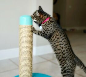 17 incredible ways people are using pvc pipes for everything, A PVC pipe cat scratching post