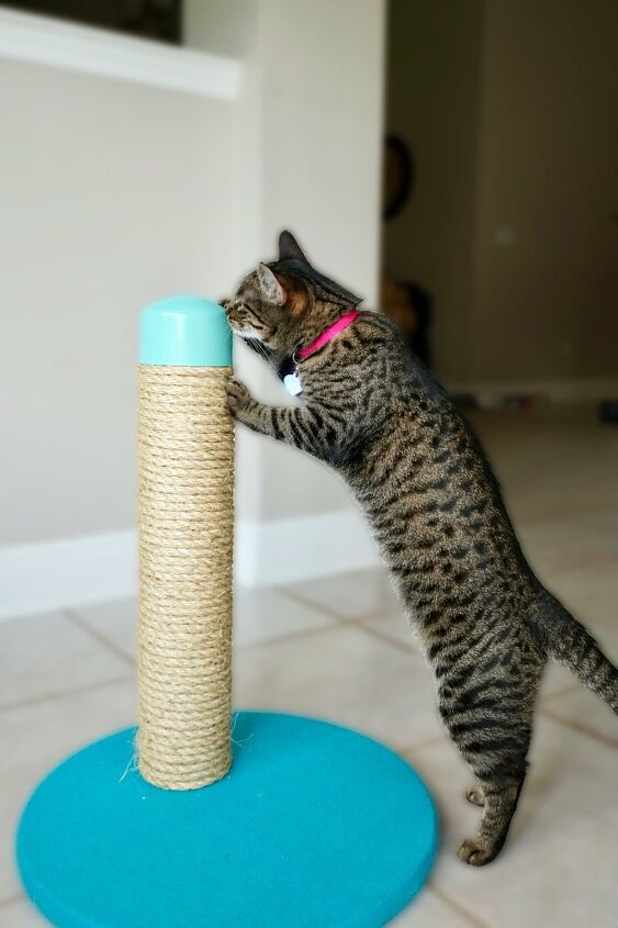 17 incredible ways people are using pvc pipes for everything, A PVC pipe cat scratching post