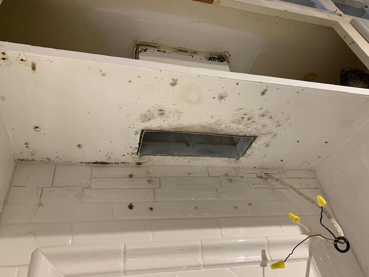 why does mold keep growing in my under cabinet vent hood