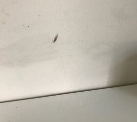 q how to repair this wood damage in my room wall