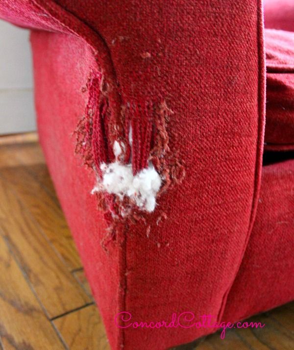 upholstered living room chair 