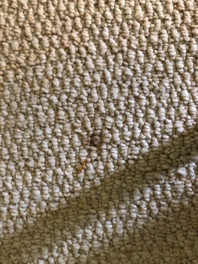 q how do i remove a wood stain from my a table leg on my cream carpet