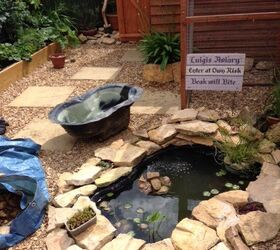 s outdoor pond, 4 Expanded Outdoor Fish Pond