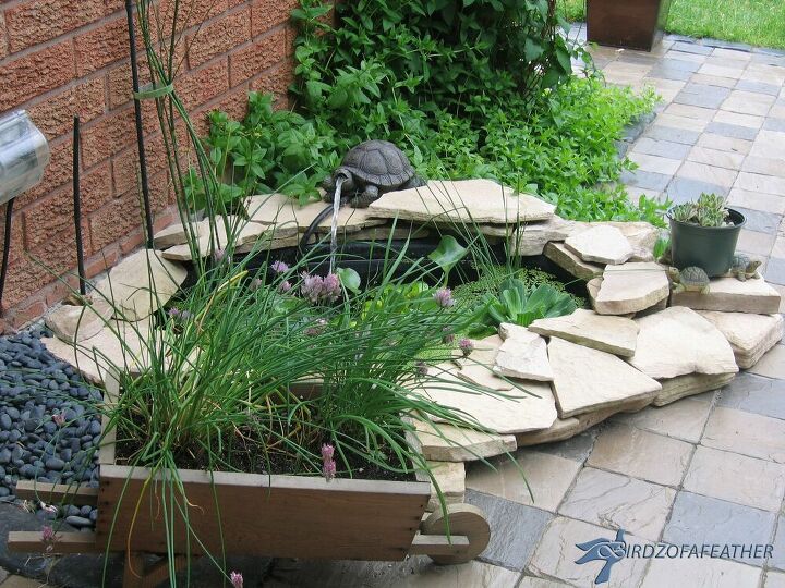 Dé un golpe de efecto en su jardín añadiendo un emocionante estanque de exterior