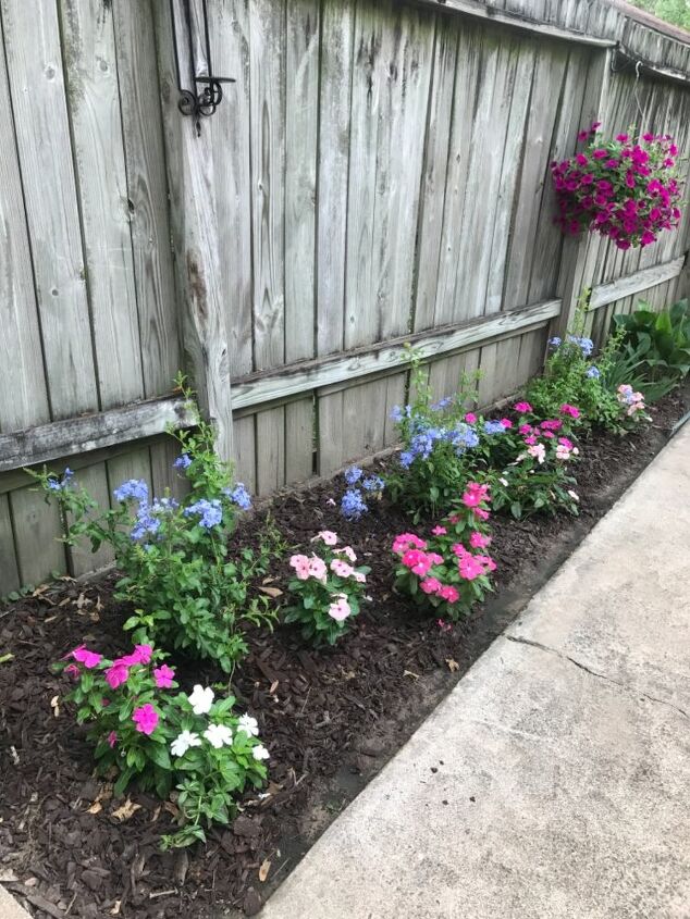 our new flower bed