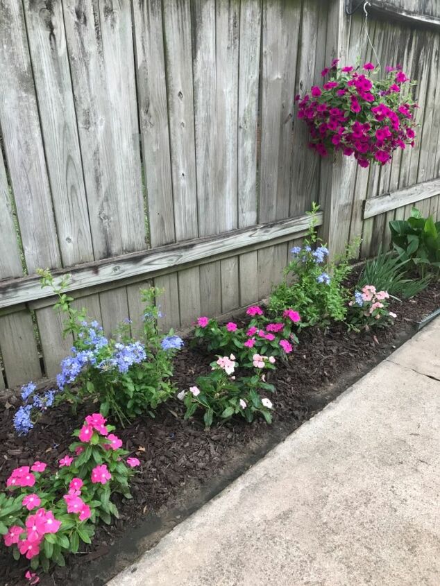 our new flower bed