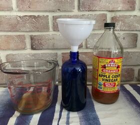 How mixing vinegar and dish soap will banish one of your worst fears