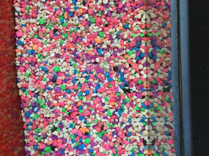 q leftover aquarium rocks that are all colors and small