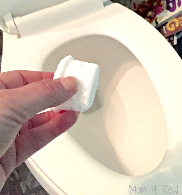 DIY Toilet cleaning products