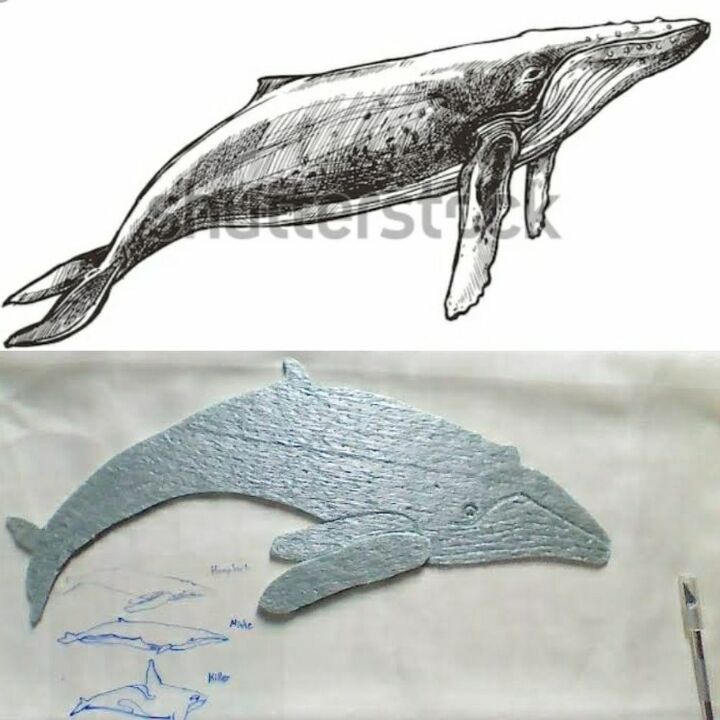 como criar uma baleia jubarte de madeira flutuante, Estudo da forma da jubarte