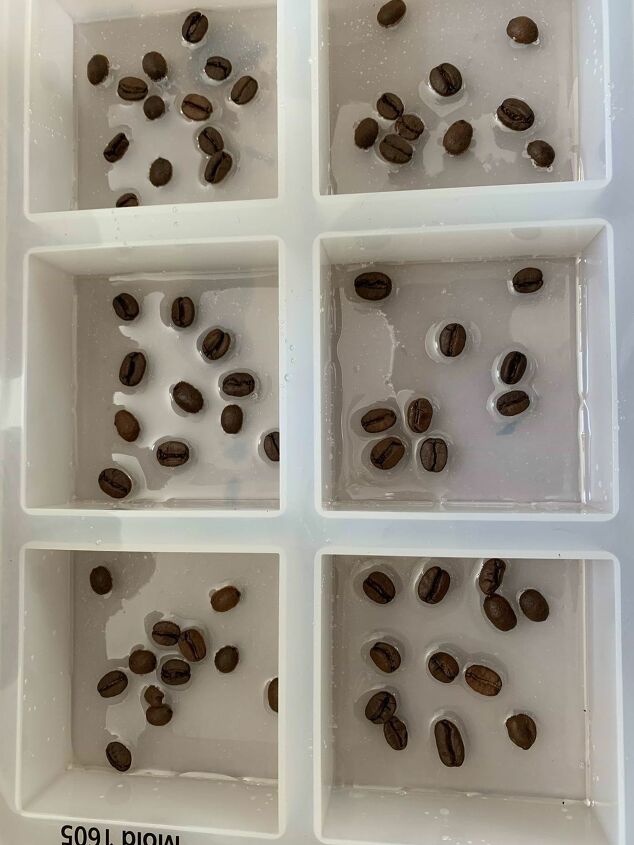 how to make coffee bean coasters, Coffee beans arranged in resin