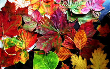 Como preservar as folhas de outono (9 métodos).