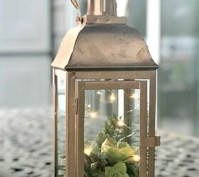 beautiful succulent lantern
