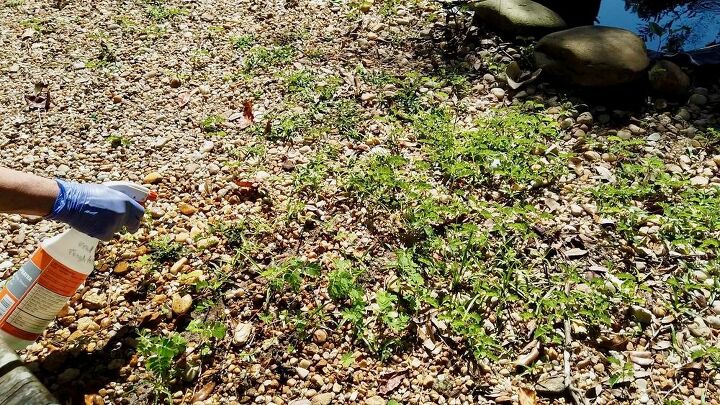 does this natural weed killer work