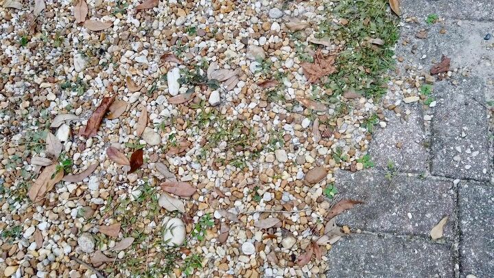 does this natural weed killer work