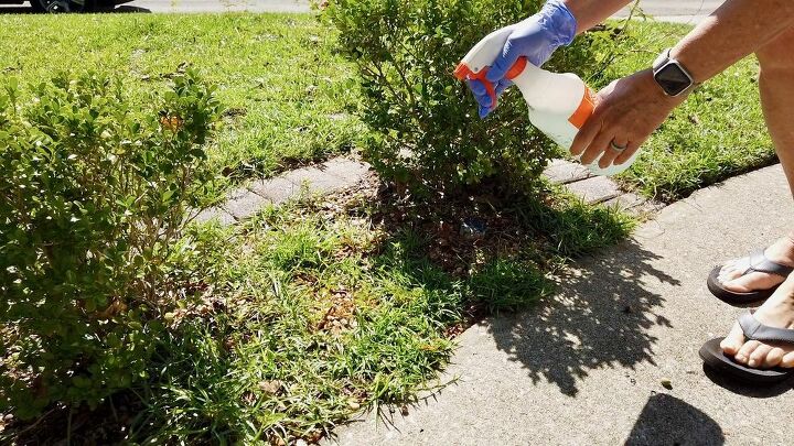 does this natural weed killer work