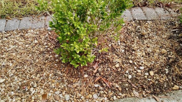 does this natural weed killer work