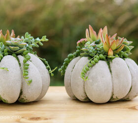 s 30 pumpkin projects for people that are totally obsessed with pumpkins, Succulent concrete pumpkins