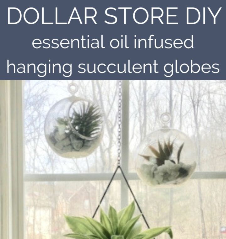 globos de suculentas de la tienda del dolar con aceites esenciales