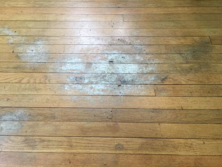 How To Give A Wood Floor Face Lift Without Sanding