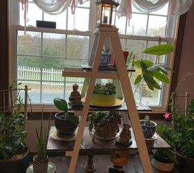 from wobbly wooden ladder to gorgeous shelving plant stand